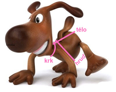 Jak správně měřit?
